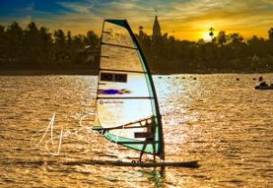 Surfer returns home