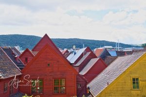 Bryggen roofs