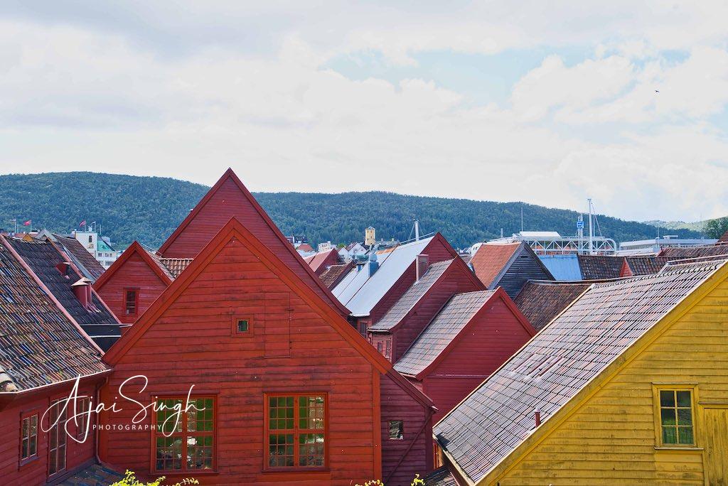 Bryggen roofs
