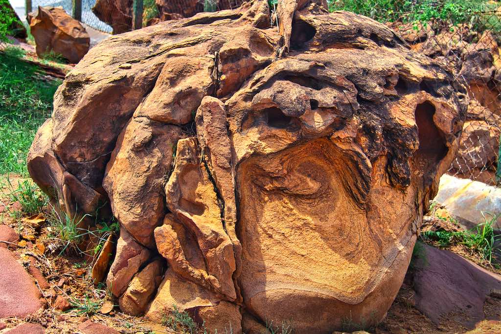 Fossil Park6
