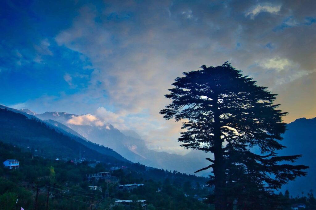 Kalpa in the morning light Kalpa in the morning light