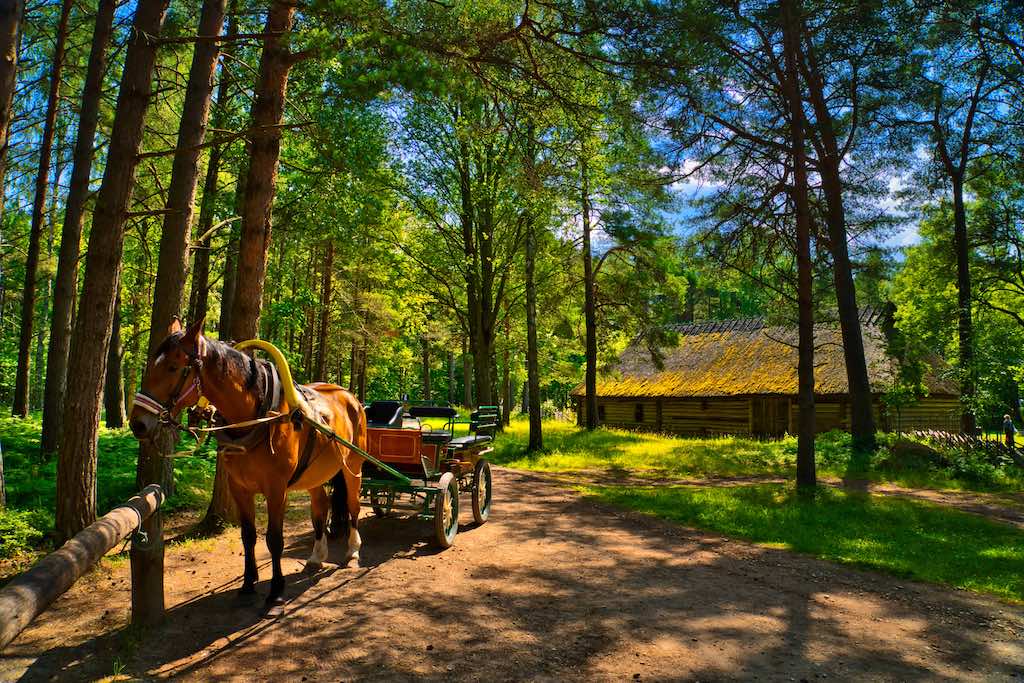 Estonian Open Air Museum- farm life Estonian Open Air Museum- farm life