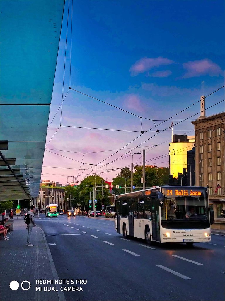 Buses plying Buses plying