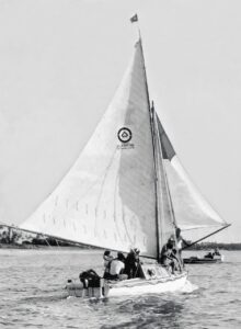 Albatross sails along the Bombay coast