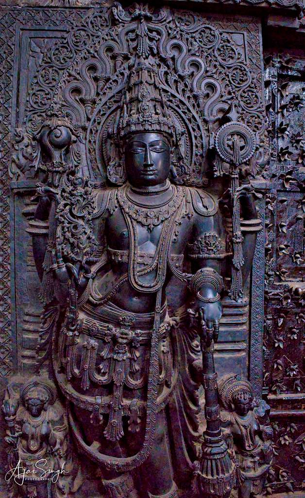 Vishnu Bhagwan in the garbha griha