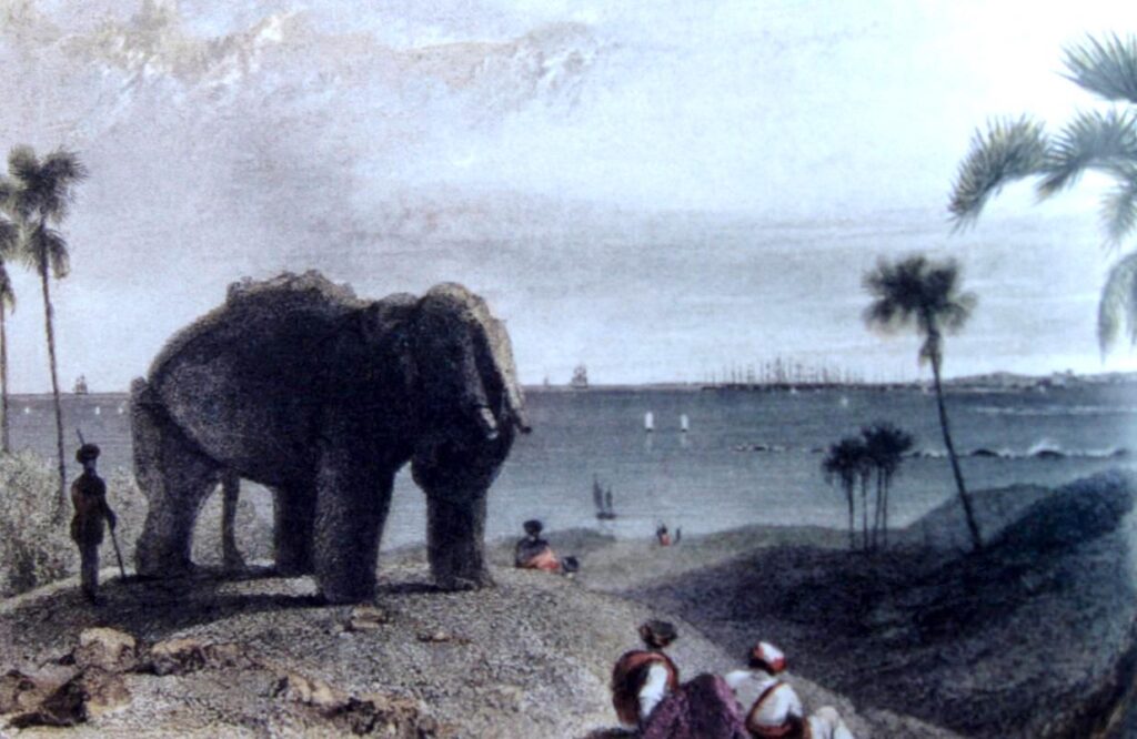 A sketch of the stone elephant