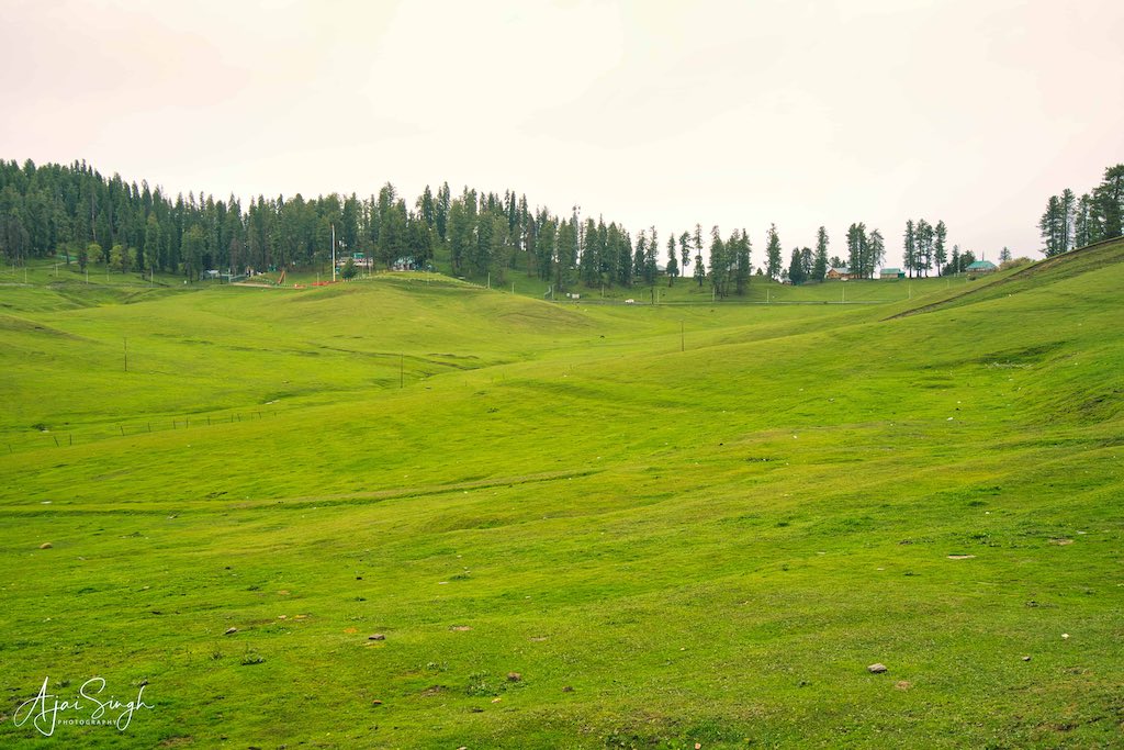Meadows of Gulmarg