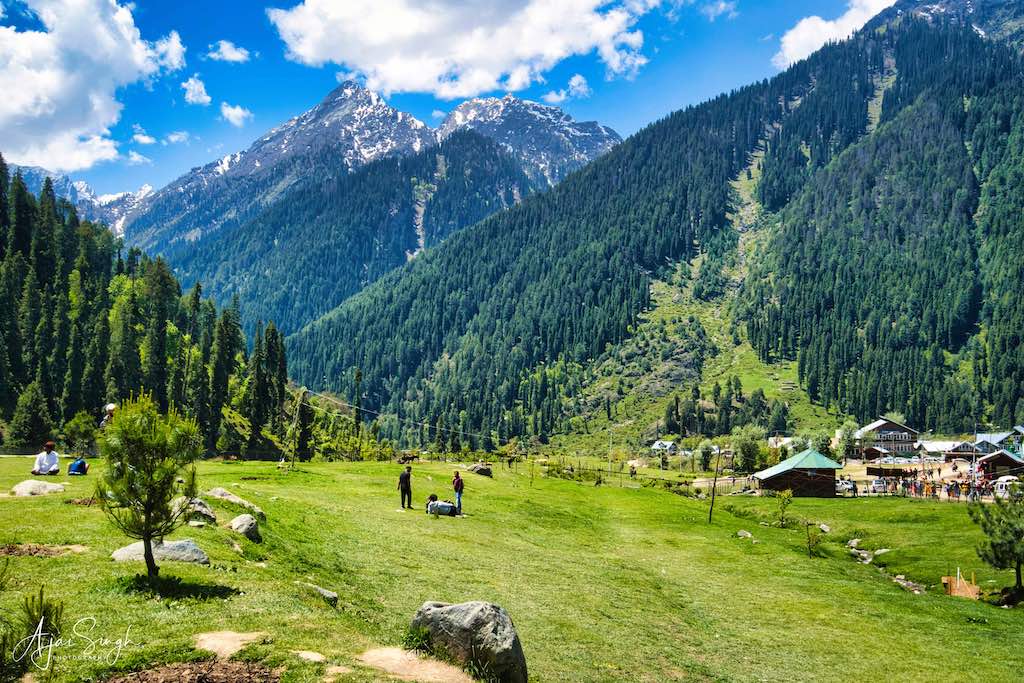 The vast green meadows