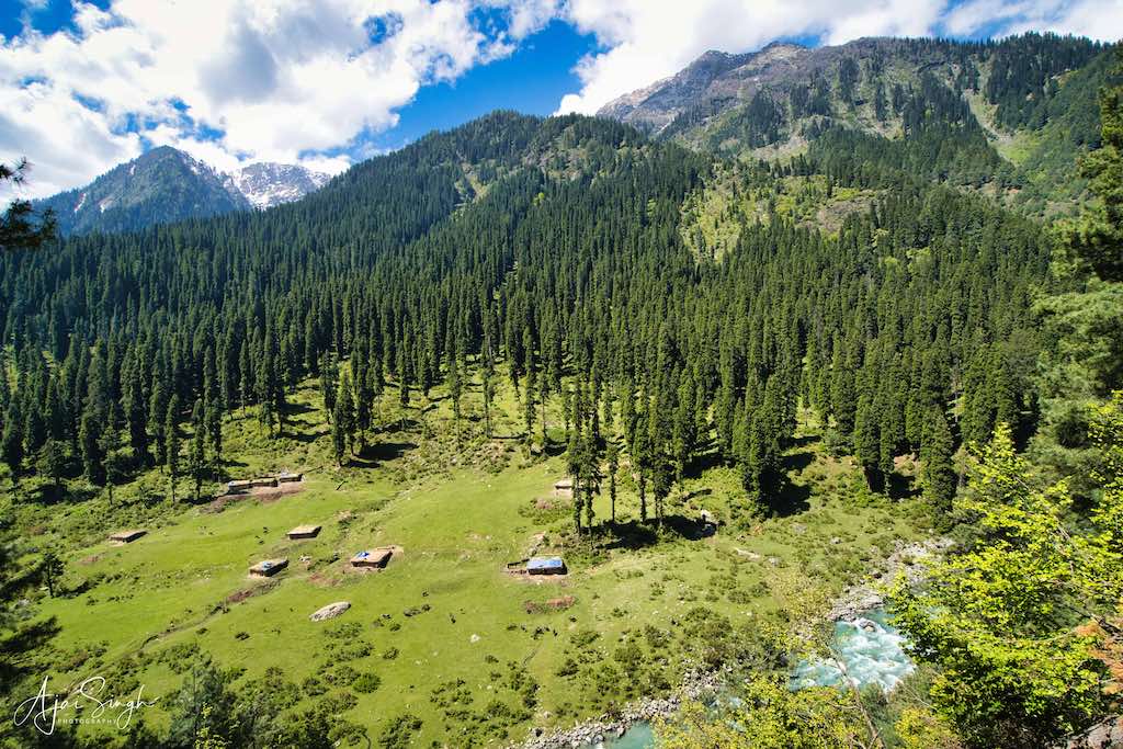 Stupendous views of the alpine forests and mountains