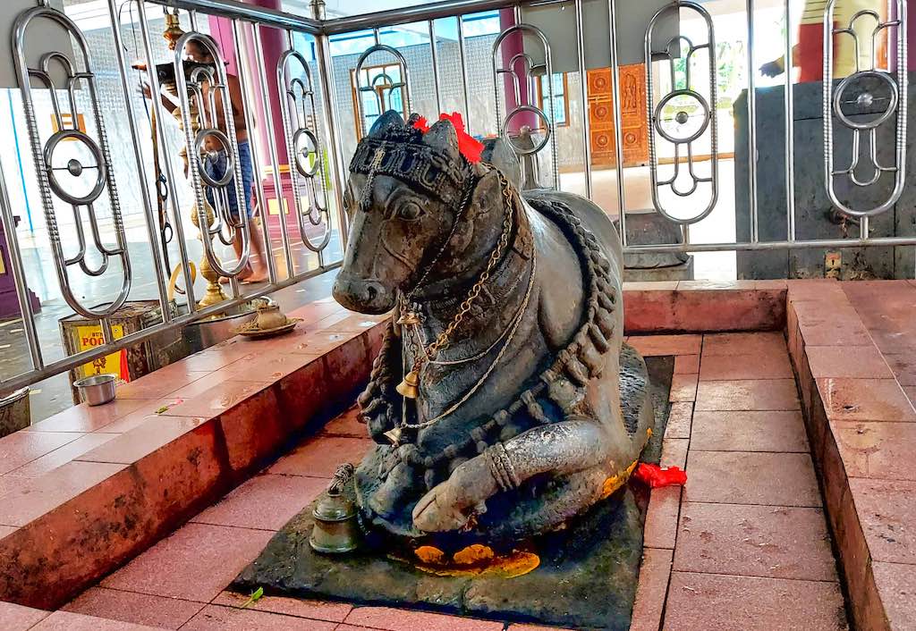 The Nandi stands watch