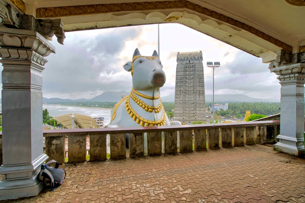 Nandi in attendance 