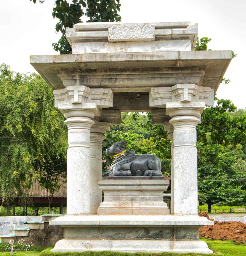 Nandi keeps eternal watch