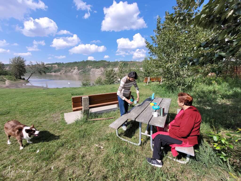 Terwillegar Dog Park