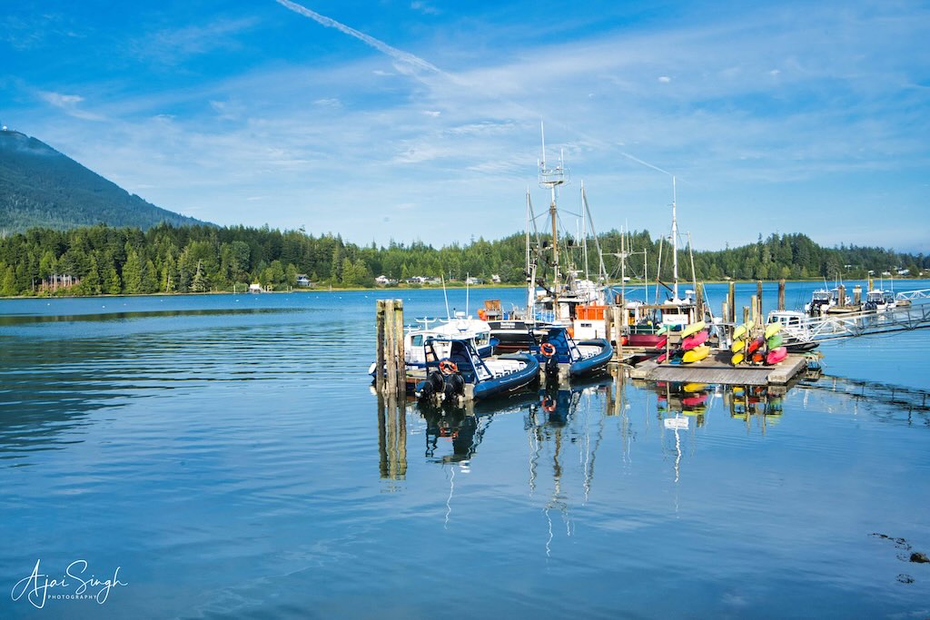 The northern waterfront of Tofino consists of a series of jetties and moorings