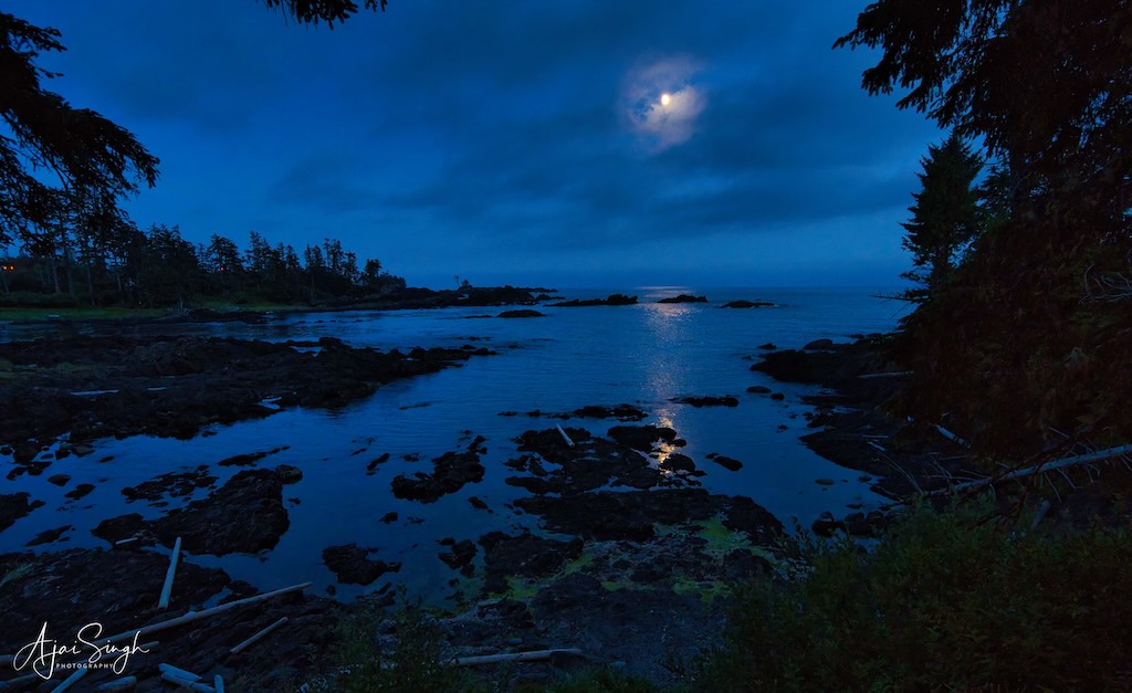 The seascape and the moon seen from the room