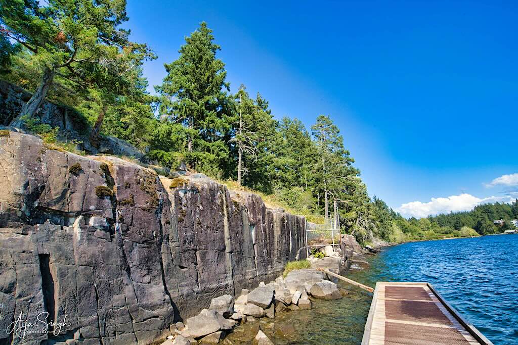 The petroglyphs at Sproat Lake